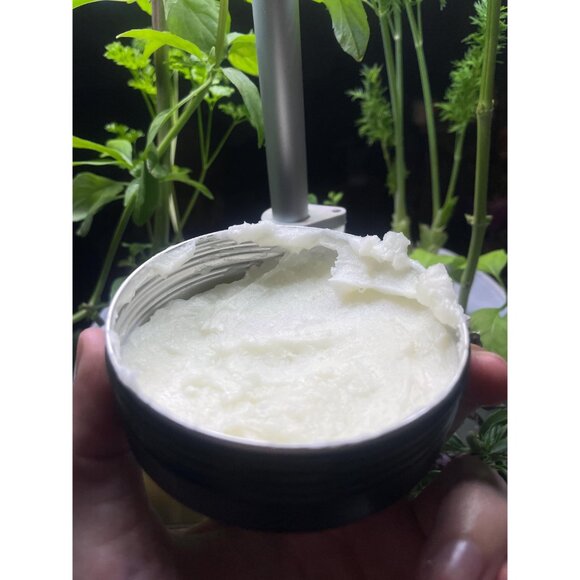 Lavendar Latte / All Natural Herbal Lavendar Healing Salve - Picture 3 of 3